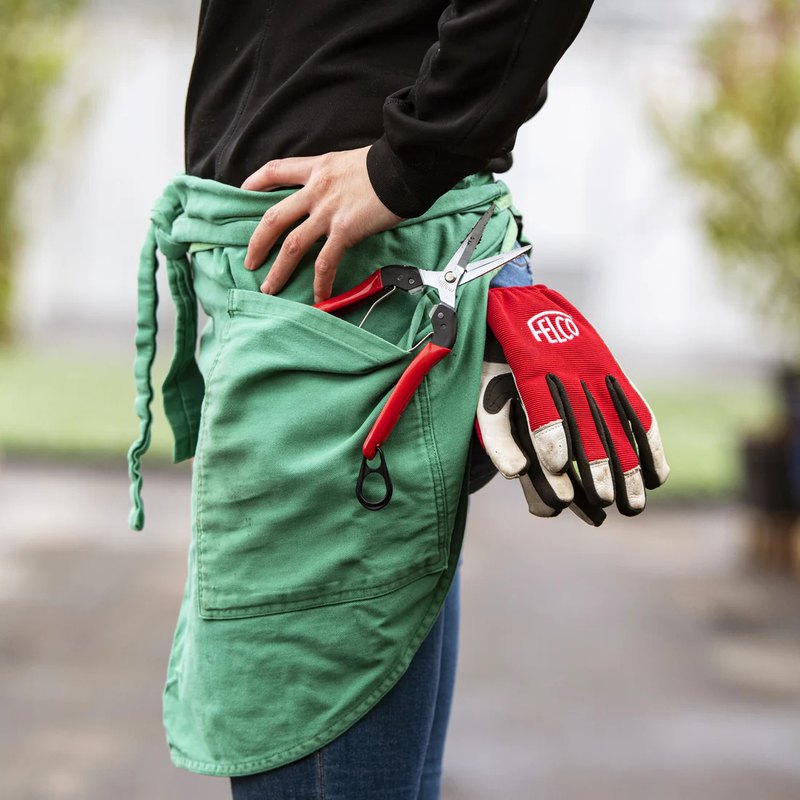 Подрязване и премахване на мъртви клони от щамбови рози за здравословно развитие на растението.