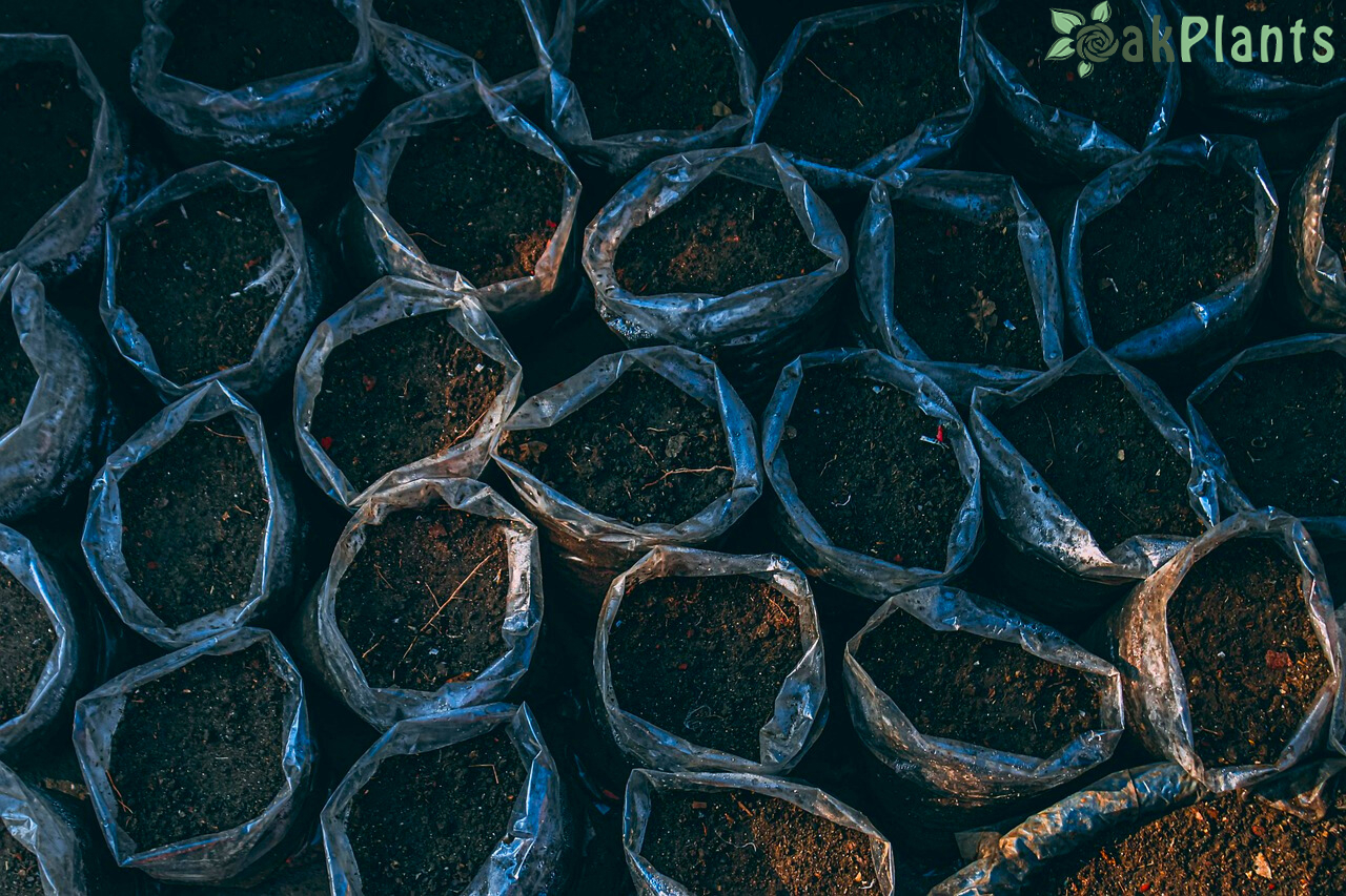 почва-oakplants.eu