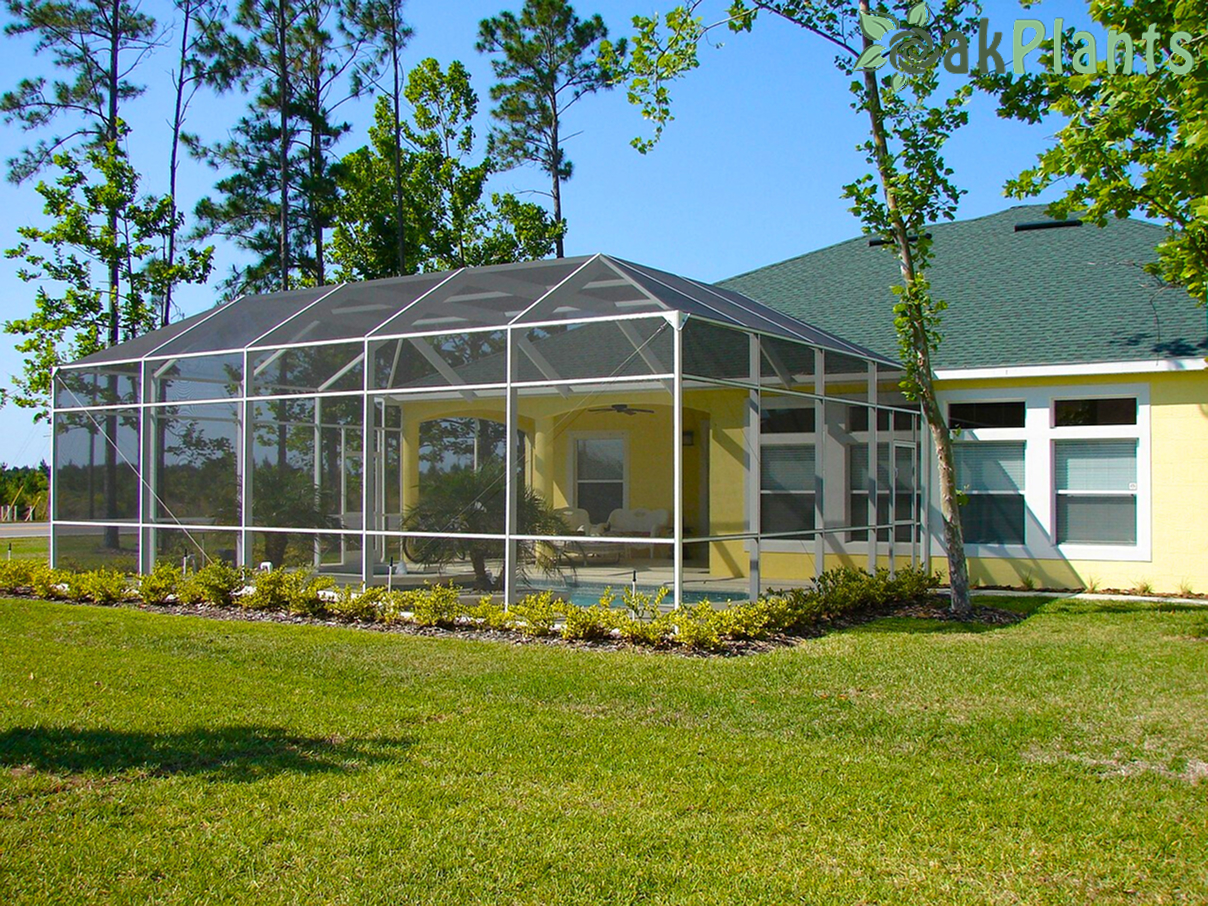 зимна-градина-oakplants.eu