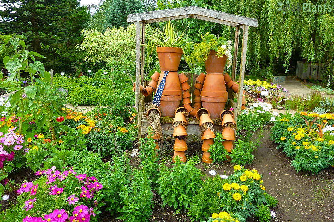 Пролетно почистване в градината – как да подготвим и размножим растенията, съхранявани у дома