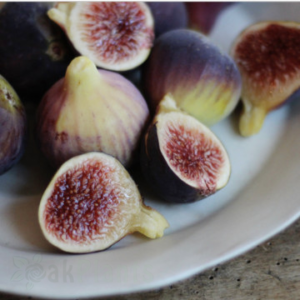 Смокиня Султана на Марабу 120 см - Ficus carica