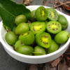 Киви самоопрашващо се сорт Исай - Actinidia arguta