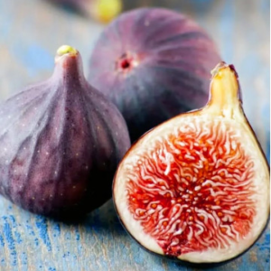 Компактна смокиня Little Miss Figgy 30 см