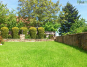 торене на иглолистни дарвета oakplants.eu