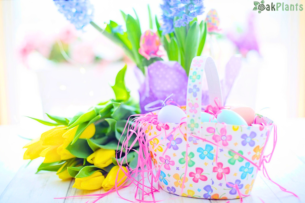 Кои цветя цъфтят по Великден