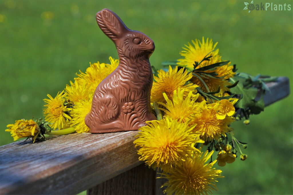 украса за великден направи си сам-oakplants.eu