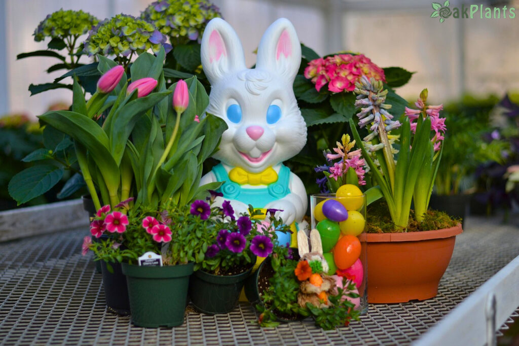 великденски венец-oakplants.eu (3)